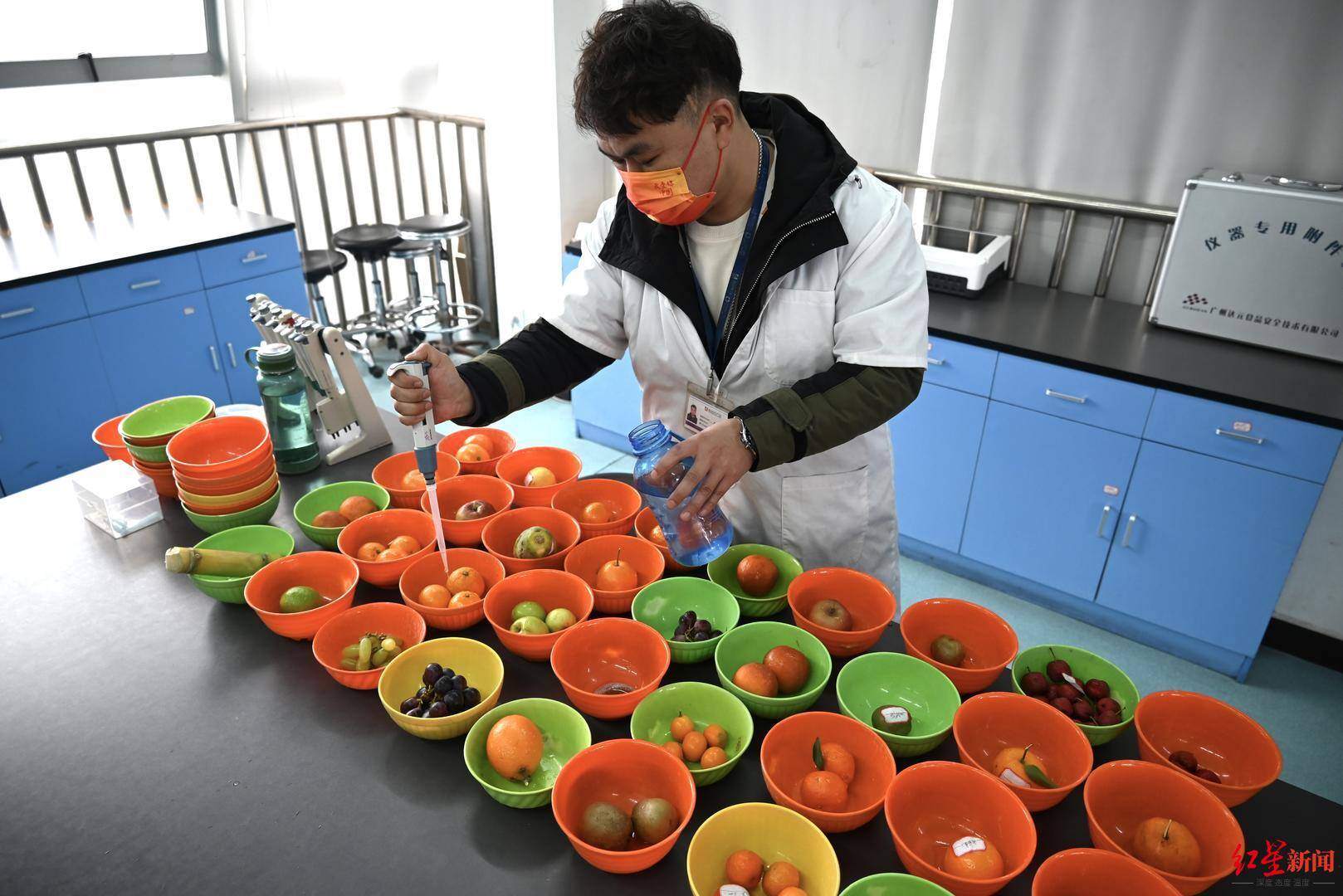 成都水果批发市场哪里最便宜