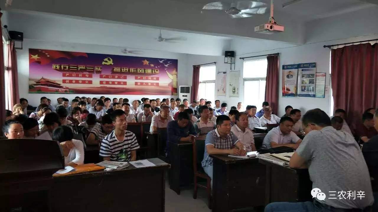 利辛县各乡镇书记镇长