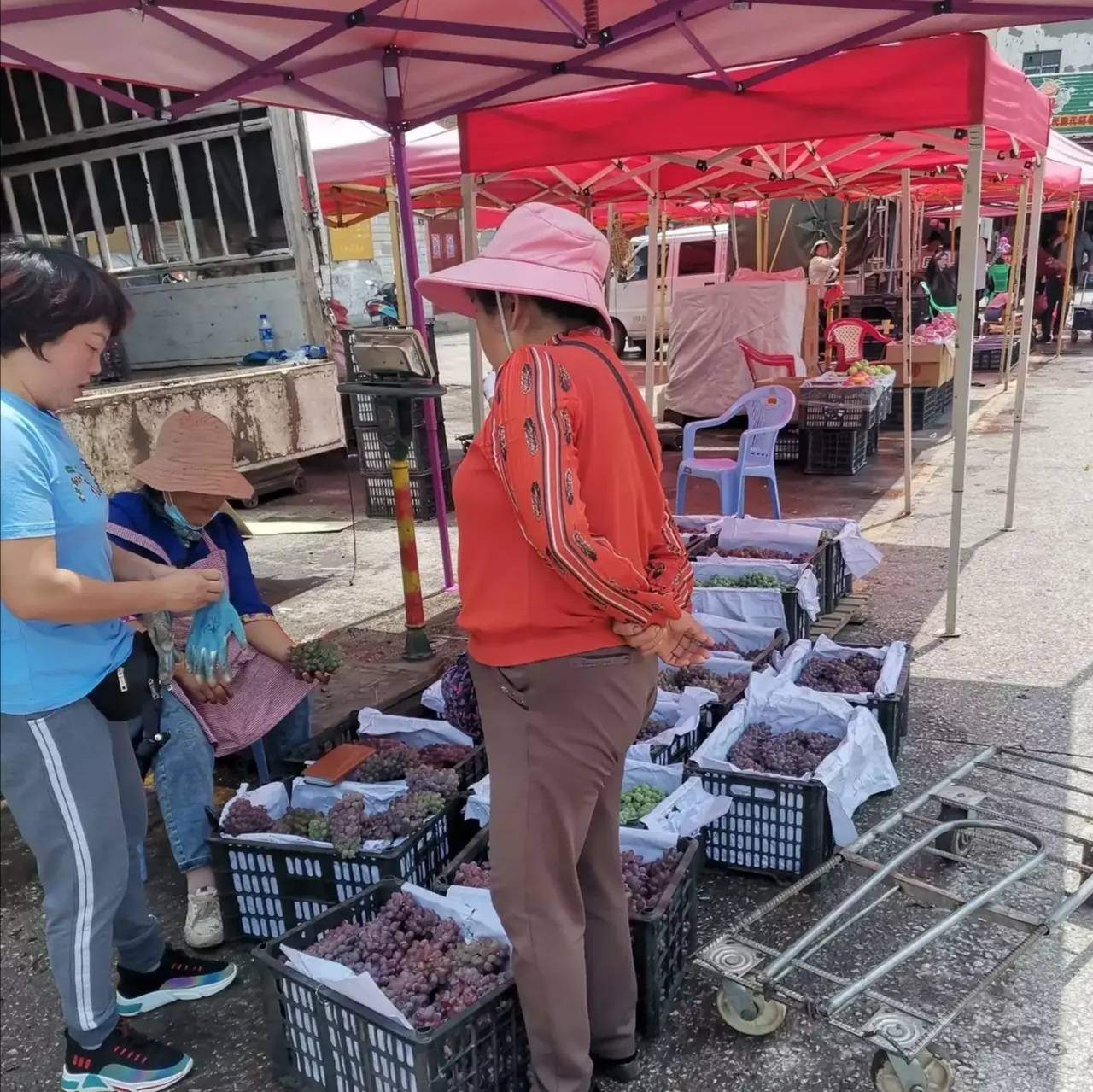 水果批发在哪进货最便宜