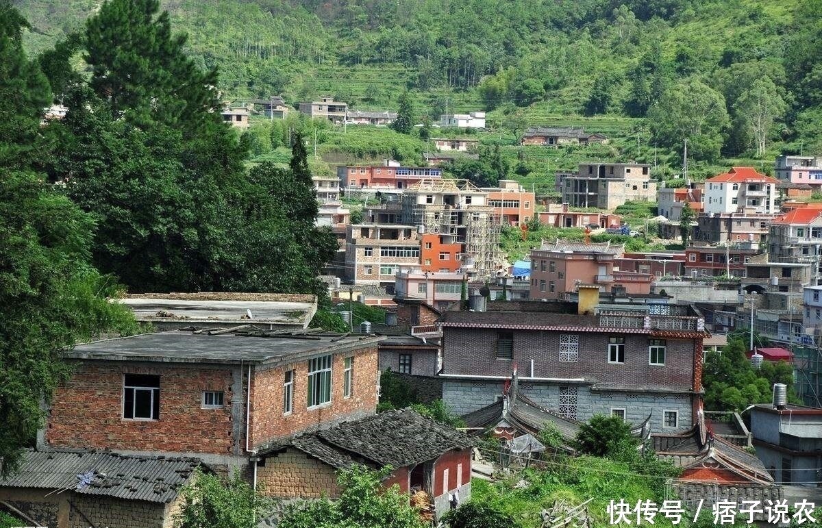 十大冷门暴利生意农村小区