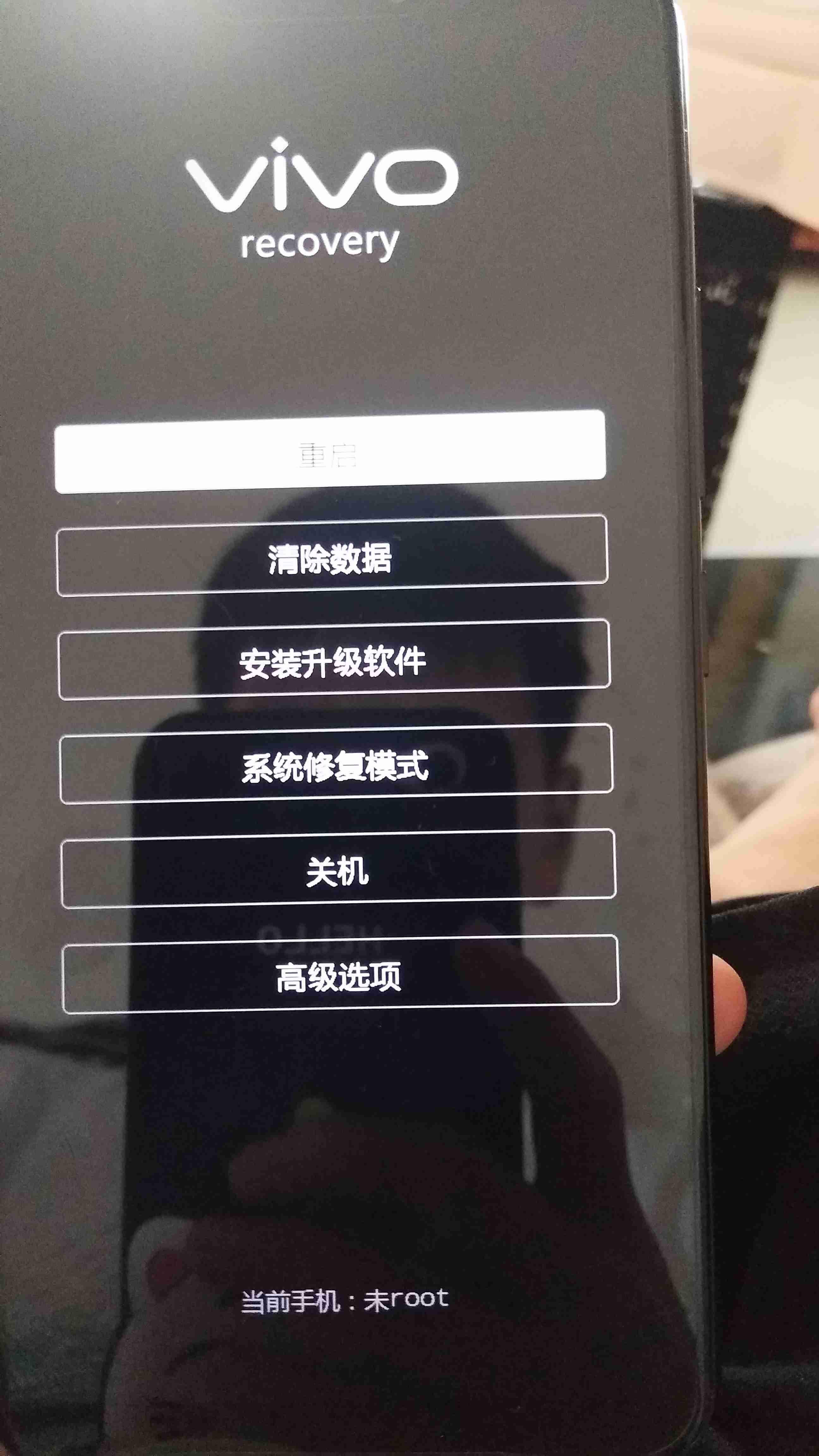 vivoy81s多少钱
