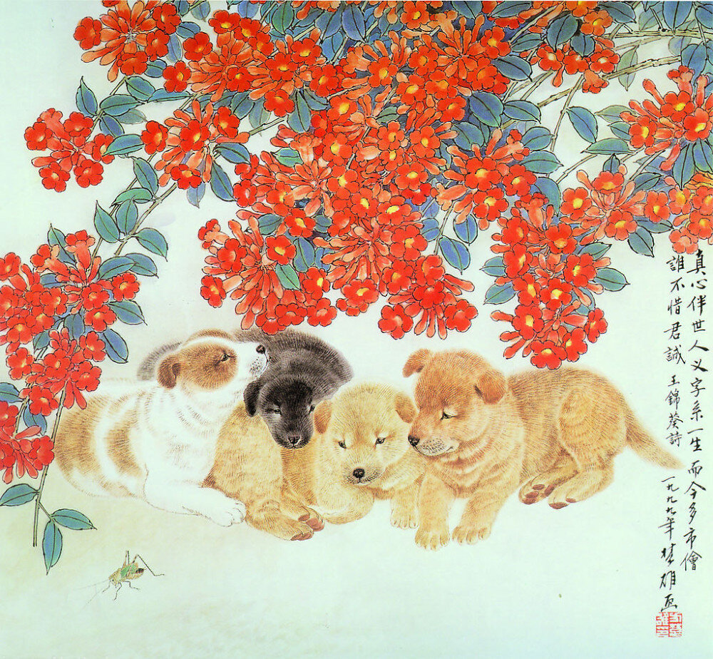 属狗女今日运势超准了