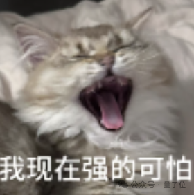 实测腾讯元宝2.0：图文视频啥都能搜，论文绘画全搞定