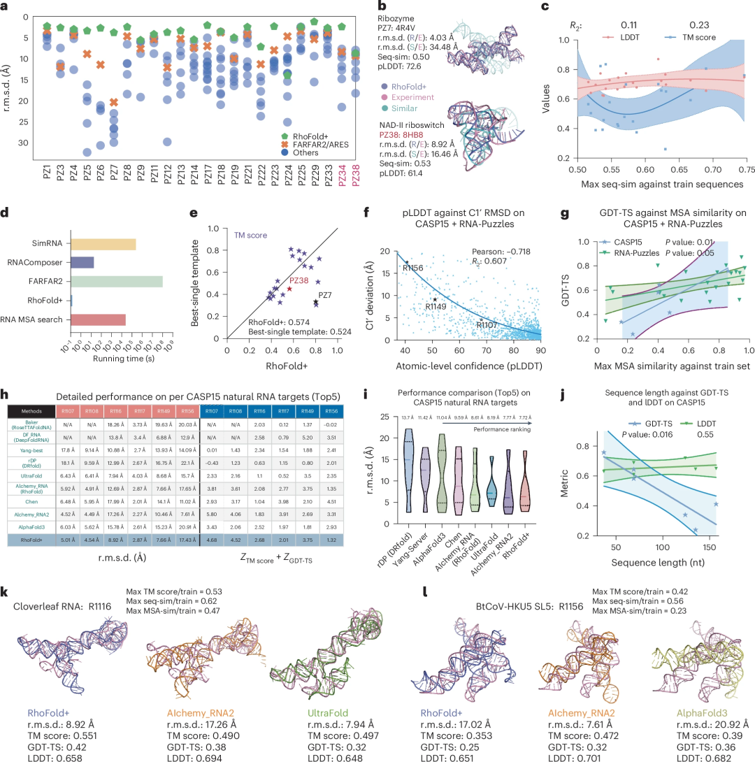 准确、快速地从头预测RNA 3D结构，港中大、复旦等深度学习方法RhoFold+登Nature子刊