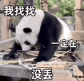 量化能让大模型“恢复记忆”，删掉的隐私版权内容全回来了，SU哈佛亚马逊最新研究引热议