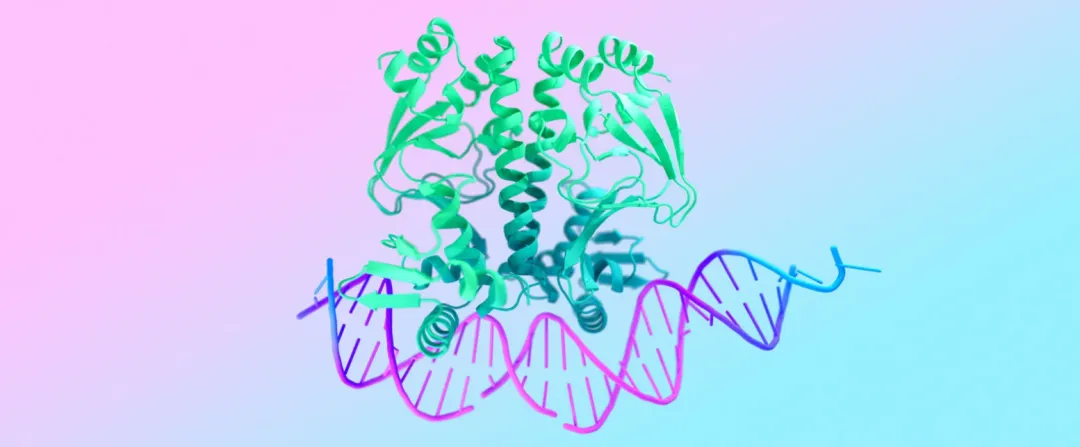 AlphaFold3开源了，诺奖AI工具人人可用，开启生物分子设计新时代